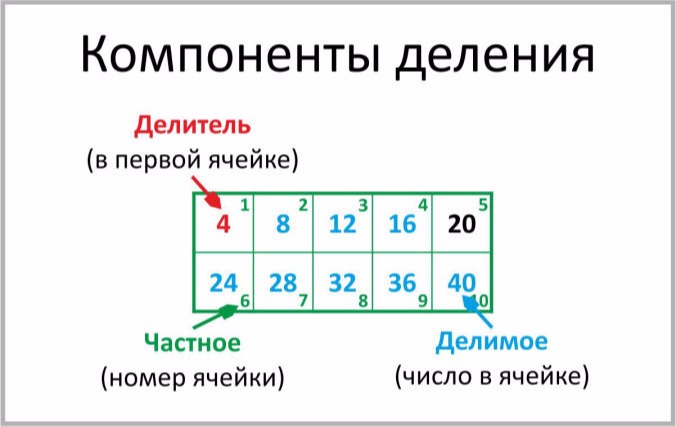 Новая модель таблицы умножения - компоненты деления